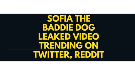 sofie the baddie|Link Full Sofia The Baddie Dog Video Twitter Pbrleaks。